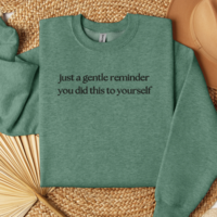 Embroidered Just A Gentle Reminder You Did This To Yourself Sweatshirt, Funny T-Shirt For Her, Sarcastic Sweater Gift, Comfort Colors Unisex T-Shirt