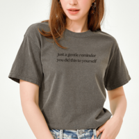 Embroidered Just A Gentle Reminder You Did This To Yourself Sweatshirt, Funny T-Shirt For Her, Sarcastic Sweater Gift, Comfort Colors Unisex T-Shirt